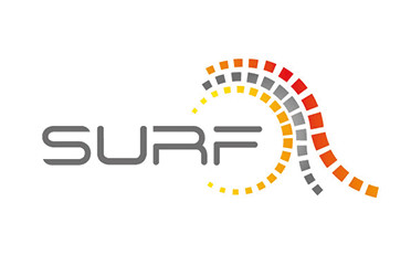 SURF (verweist auf: BISp-geförderte Projekte)
